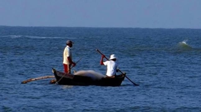 Fishermen banned from going to sea from 18th to 22nd