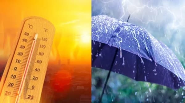 Heatwave and sultry conditions to persist in Madhya Pradesh for another four days; monsoon likely to arrive after June 25.