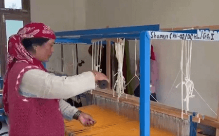 ‘Handloom has become our source of income’: Himachal’s Sharan village weavers celebrate revival of traditional craft