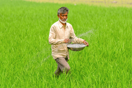 Adequate fertilisers supplied to farmers in ongoing kharif season: Govt
