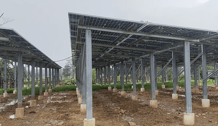 Thenhi becomes first solar village in Chhattisgarh’s Dhamtari, residents rejoice over benefits