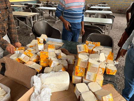 Gujarat destroys analogue cheese, paneer valued at Rs 5.28 lakh in raids