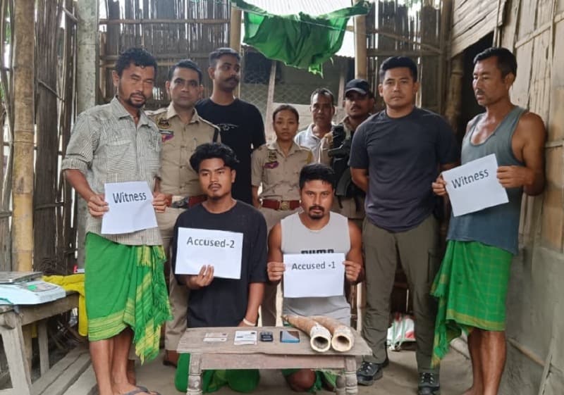 Assam: STF arrests 2 smugglers with 2 ivory tusks in Tamulpur