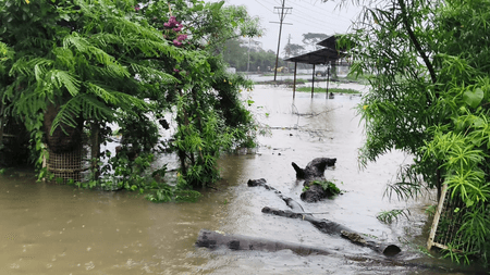 Heavy rain wreaks havoc across MP; five bodies recovered after car swept away, 3 missing