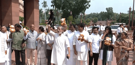 'Important to maintain dignity': Cong MP Tariq Anwar on Oppn's 'toy monkey' protest in Parliament complex