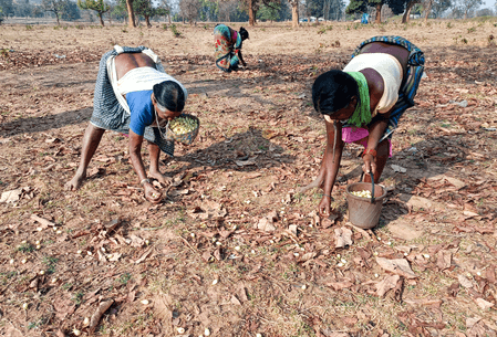 Sharp rise in funds for rural and tribal areas fuelling inclusive growth: Govt