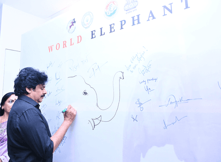 'Kumki' elephants reduced human fatalities in Andhra Pradesh by 70 pc: Pawan Kalyan
