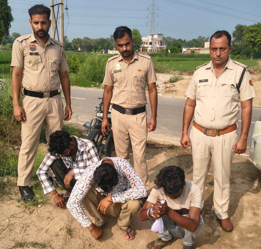 Five Drug Smugglers Arrested
