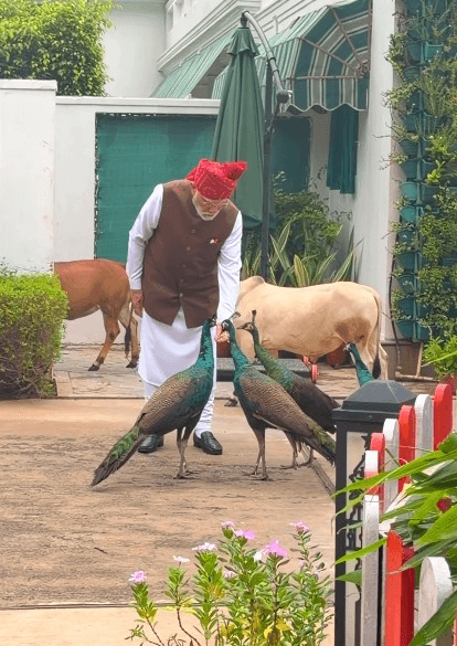 Special, as always: PM Modi shares heartwarming daily routine with 'friends'