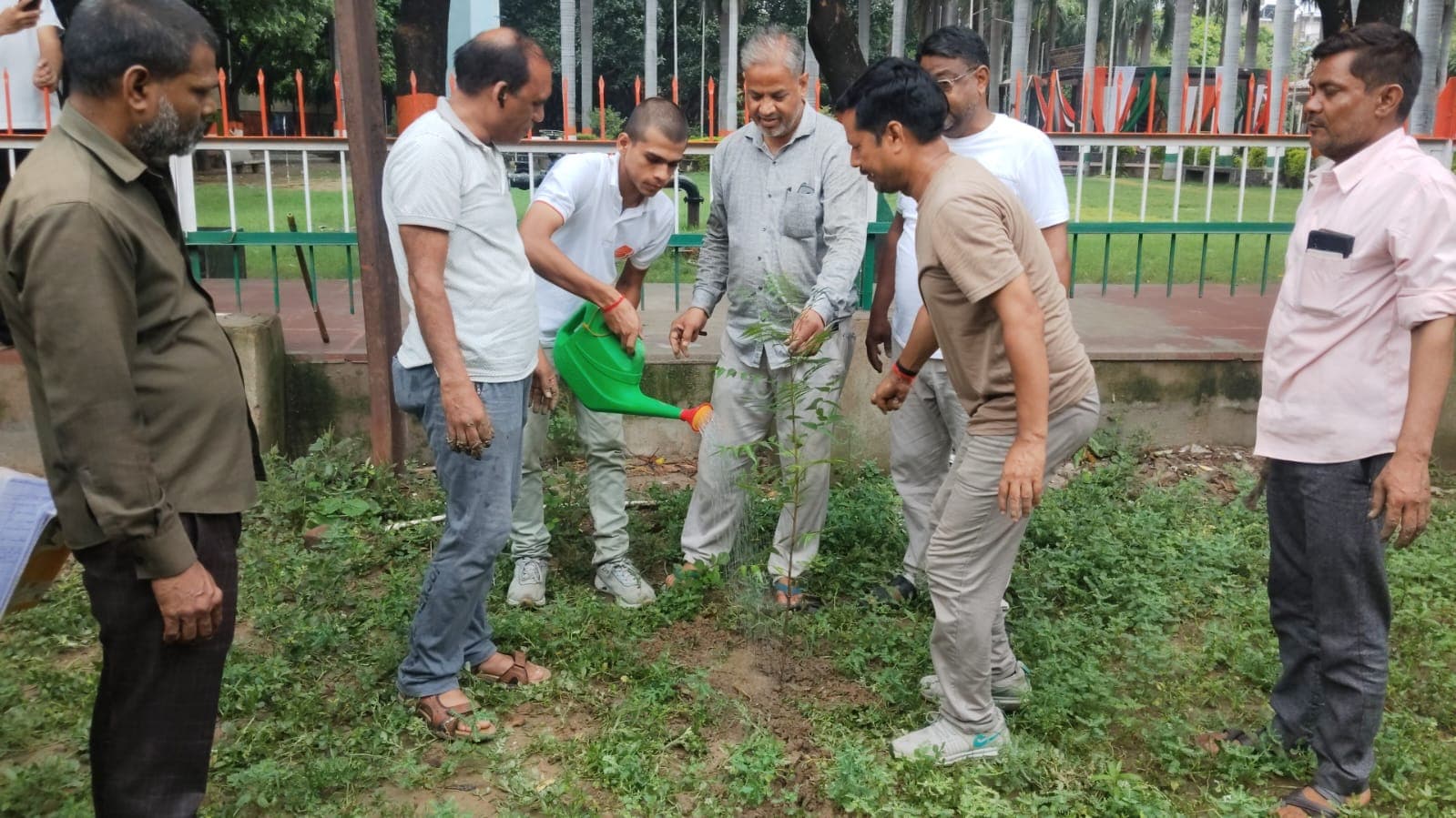 Up Auraiya Tree Plantation