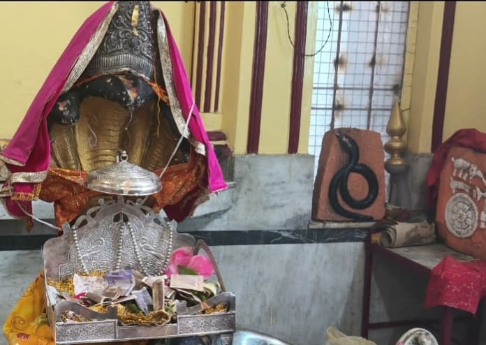 Nag Panchami Celebrations