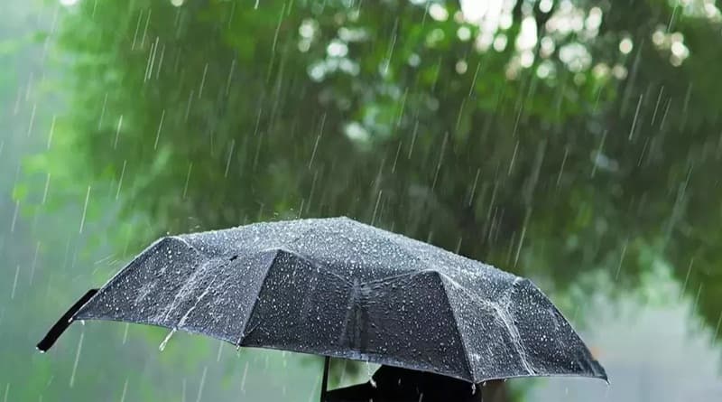 Madhya Pradesh Weather Heavy Rain Alert