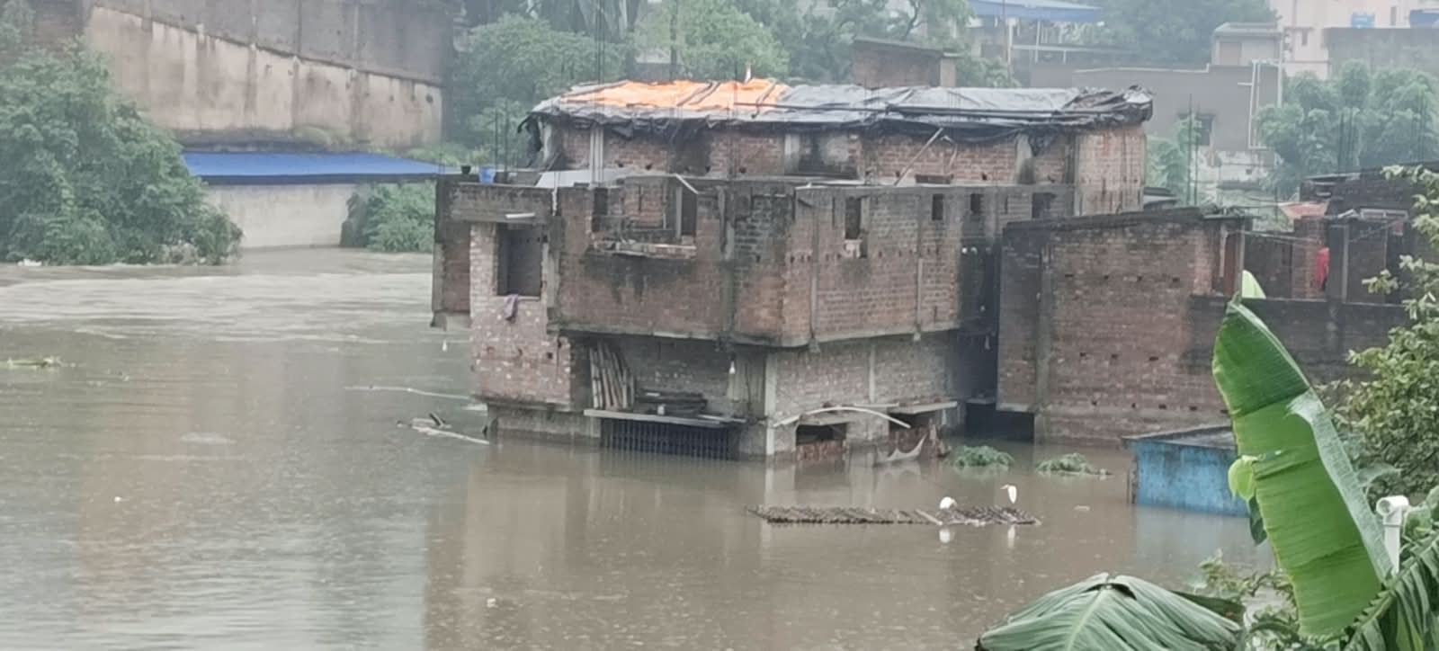 Dvc 19000 Cc Water Logging Pro