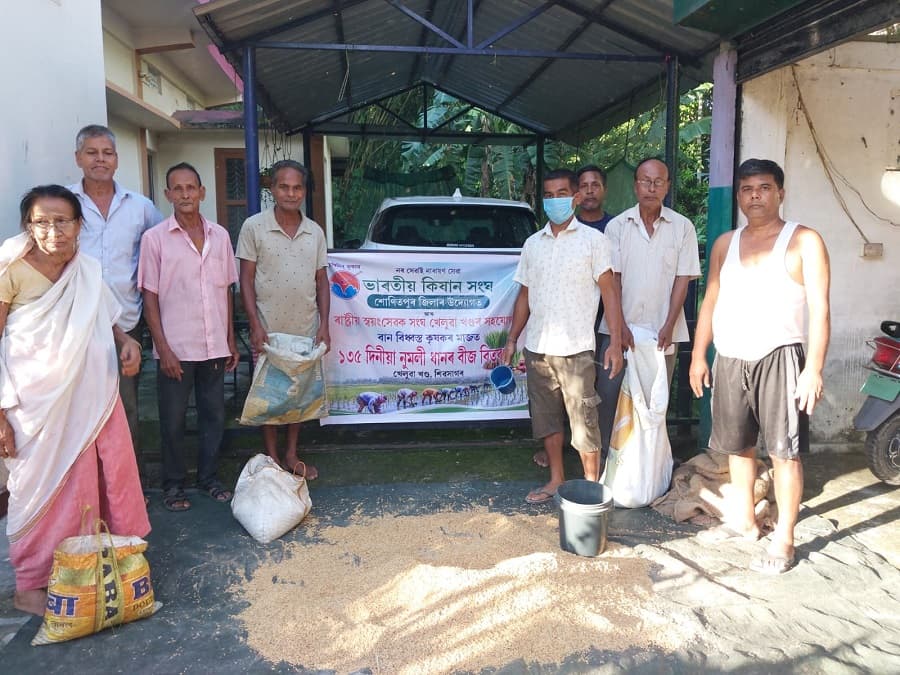 Distribution Numali Paddy Seeds Farmers Flood Affe