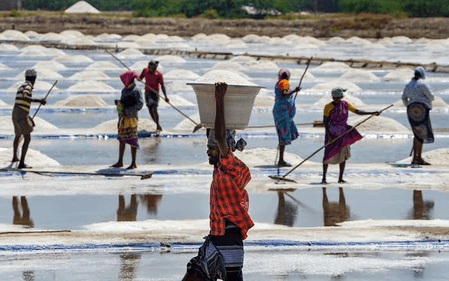 TN's Vedaranyam salt producers near annual target as summer heat boosts output