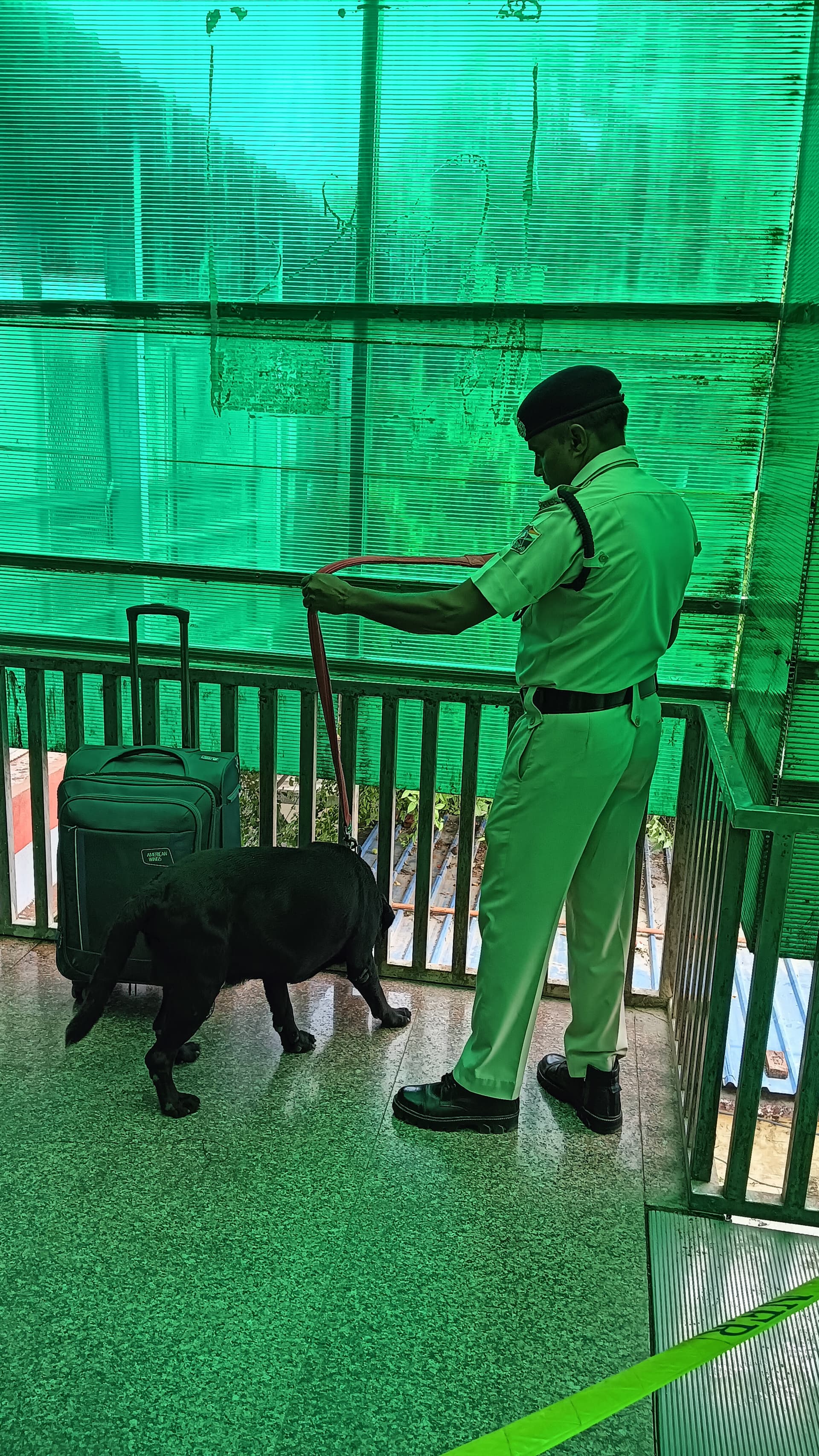 Chaos caused by unattended trolley bags at Siwan Junction, no explosives found in dog squad investigation