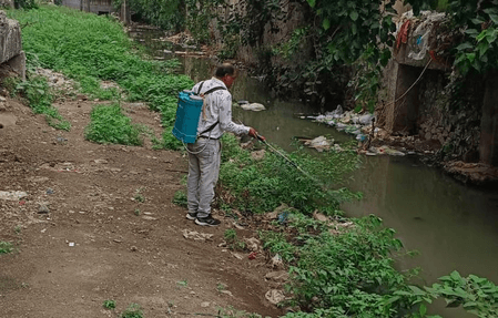 Ahmedabad civic body issues 108 notices, seals two sites in mosquito-control drive