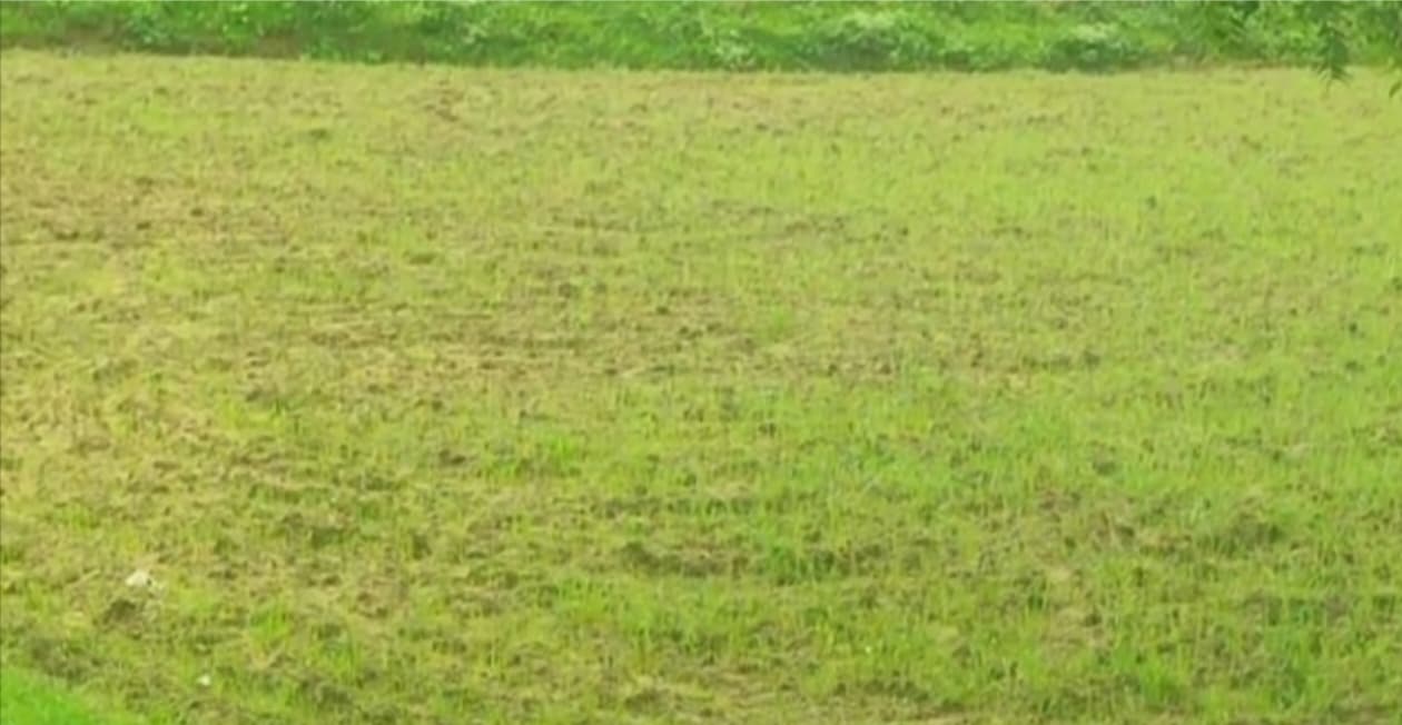 Pradhan Mantri Fasal Bima