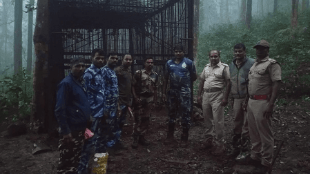 TN: Nilgiris tiger declared man-eater after two fatal attacks