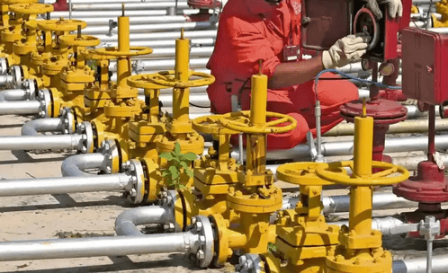 Centre asks states to help in speeding up switch from LPG to PNG by households