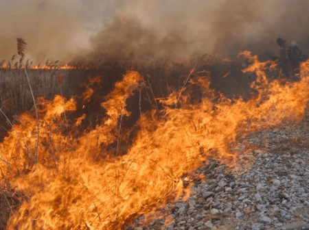 Wildfires intensify in Colombia amid El Nino conditions