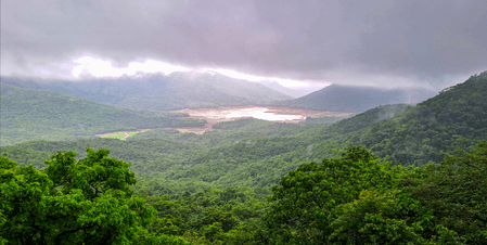 Moderate rain forecast for Tamil Nadu’s Western Ghats districts for six days