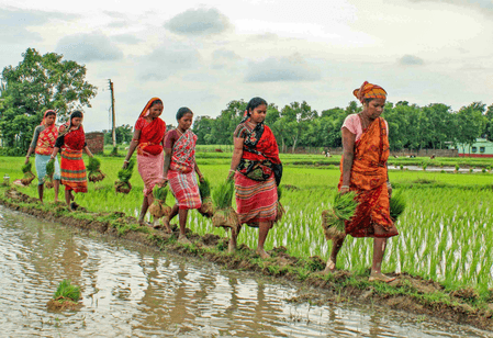 Bengal govt directs DMs to identify migrant workers' families for receiving rural job cards
