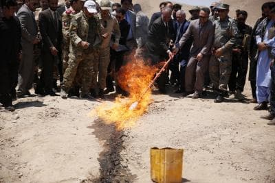 Afghan police destroy 2.5 tonnes of illicit narcotics