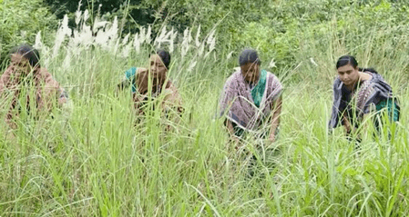 PM Modi lauds Odisha’s Maithili Bhue for forest conservation efforts