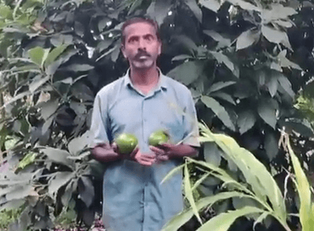 Chikkamagaluru, mentioned in PM's ‘Mann Ki Baat’, sees mushrooming growth in avocado farming